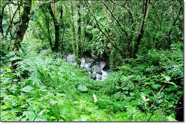 宜蘭礁溪｜林美石磐步道，有宜蘭小太魯閣之稱的林美步道，輕鬆遠離塵囂享受芬多精 @飛天璇的口袋