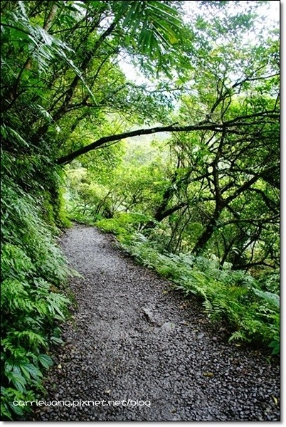 宜蘭礁溪｜林美石磐步道，有宜蘭小太魯閣之稱的林美步道，輕鬆遠離塵囂享受芬多精 @飛天璇的口袋