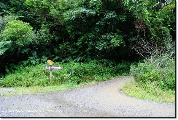 宜蘭礁溪｜林美石磐步道，有宜蘭小太魯閣之稱的林美步道，輕鬆遠離塵囂享受芬多精 @飛天璇的口袋