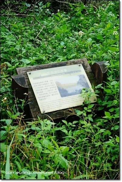 宜蘭礁溪｜林美石磐步道，有宜蘭小太魯閣之稱的林美步道，輕鬆遠離塵囂享受芬多精 @飛天璇的口袋