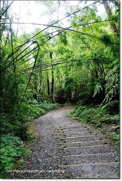 宜蘭礁溪｜林美石磐步道，有宜蘭小太魯閣之稱的林美步道，輕鬆遠離塵囂享受芬多精 @飛天璇的口袋