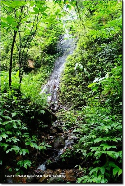 宜蘭礁溪｜林美石磐步道，有宜蘭小太魯閣之稱的林美步道，輕鬆遠離塵囂享受芬多精 @飛天璇的口袋