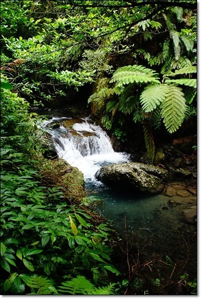 宜蘭礁溪｜林美石磐步道，有宜蘭小太魯閣之稱的林美步道，輕鬆遠離塵囂享受芬多精 @飛天璇的口袋