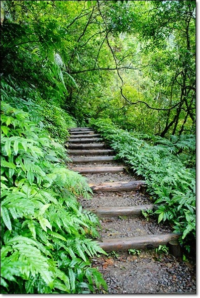 宜蘭礁溪｜林美石磐步道，有宜蘭小太魯閣之稱的林美步道，輕鬆遠離塵囂享受芬多精 @飛天璇的口袋