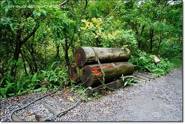 宜蘭礁溪｜林美石磐步道，有宜蘭小太魯閣之稱的林美步道，輕鬆遠離塵囂享受芬多精 @飛天璇的口袋
