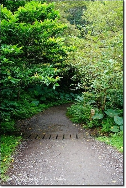 宜蘭礁溪｜林美石磐步道，有宜蘭小太魯閣之稱的林美步道，輕鬆遠離塵囂享受芬多精 @飛天璇的口袋