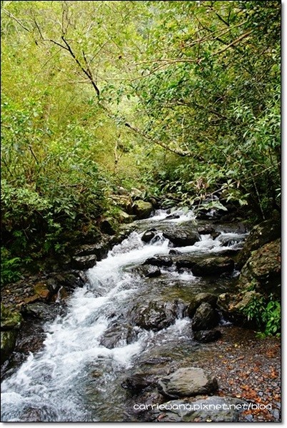 宜蘭礁溪｜林美石磐步道，有宜蘭小太魯閣之稱的林美步道，輕鬆遠離塵囂享受芬多精 @飛天璇的口袋
