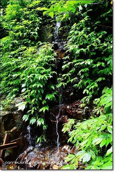 宜蘭礁溪｜林美石磐步道，有宜蘭小太魯閣之稱的林美步道，輕鬆遠離塵囂享受芬多精 @飛天璇的口袋