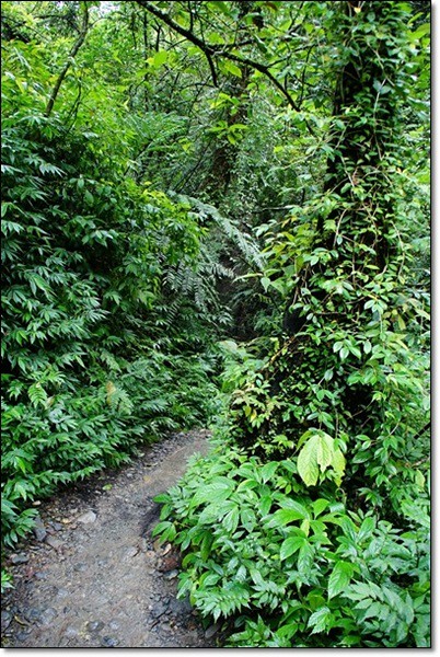 宜蘭礁溪｜林美石磐步道，有宜蘭小太魯閣之稱的林美步道，輕鬆遠離塵囂享受芬多精 @飛天璇的口袋