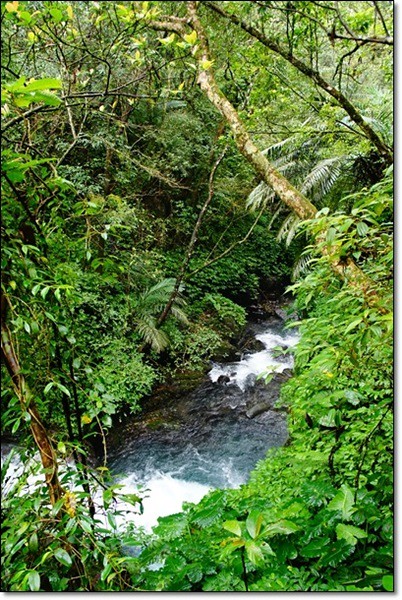 宜蘭礁溪｜林美石磐步道，有宜蘭小太魯閣之稱的林美步道，輕鬆遠離塵囂享受芬多精 @飛天璇的口袋