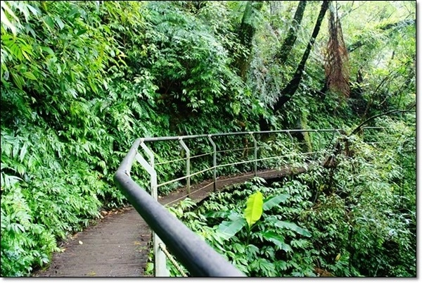 宜蘭礁溪｜林美石磐步道，有宜蘭小太魯閣之稱的林美步道，輕鬆遠離塵囂享受芬多精 @飛天璇的口袋