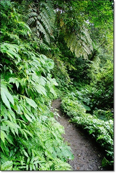 宜蘭礁溪｜林美石磐步道，有宜蘭小太魯閣之稱的林美步道，輕鬆遠離塵囂享受芬多精 @飛天璇的口袋