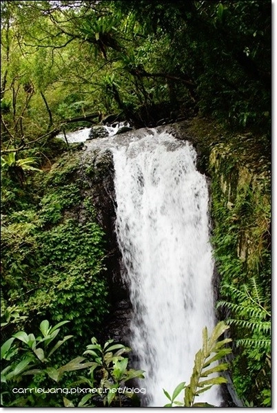 宜蘭礁溪｜林美石磐步道，有宜蘭小太魯閣之稱的林美步道，輕鬆遠離塵囂享受芬多精 @飛天璇的口袋