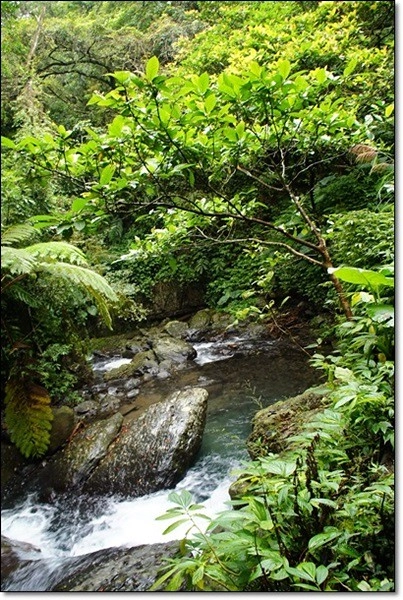 宜蘭礁溪｜林美石磐步道，有宜蘭小太魯閣之稱的林美步道，輕鬆遠離塵囂享受芬多精 @飛天璇的口袋