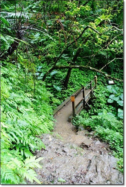 宜蘭礁溪｜林美石磐步道，有宜蘭小太魯閣之稱的林美步道，輕鬆遠離塵囂享受芬多精 @飛天璇的口袋