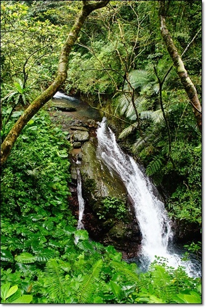 宜蘭礁溪｜林美石磐步道，有宜蘭小太魯閣之稱的林美步道，輕鬆遠離塵囂享受芬多精 @飛天璇的口袋