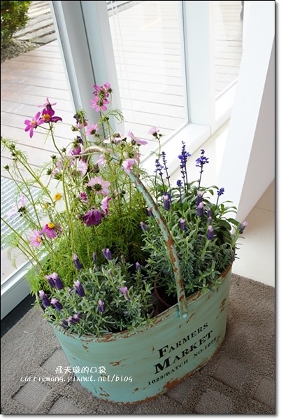 【台中蛋糕甜點】七個小日子．戚風蛋糕專賣店。梨子咖啡關係企業，開幕期間義式冰淇淋優惠 $17元，快衝吧！ @飛天璇的口袋