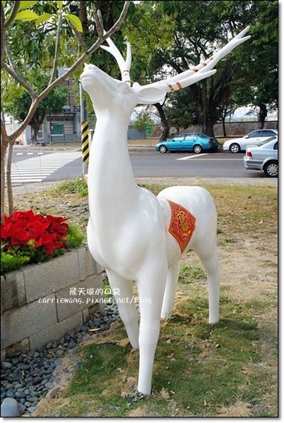 麋路咖啡輕食坊．Meet Road：老宅改建咖啡館，裡面充滿麋鹿的元素，一個適合放鬆與享受幸福的空間(已歇業) @飛天璇的口袋