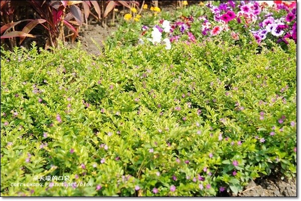 【台中蛋糕甜點】蝴蝶橋甜點美食莊園。法式甜點吸睛又華麗，腹地廣大環境悠閒，北屯區美食又一發 @飛天璇的口袋
