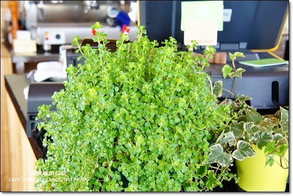 【台中蛋糕甜點】蝴蝶橋甜點美食莊園。法式甜點吸睛又華麗，腹地廣大環境悠閒，北屯區美食又一發 @飛天璇的口袋