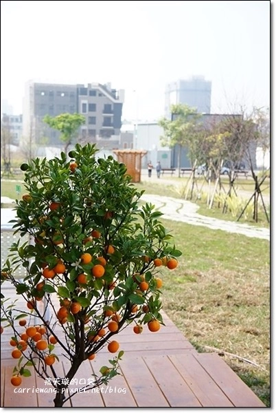 【台中蛋糕甜點】蝴蝶橋甜點美食莊園。法式甜點吸睛又華麗，腹地廣大環境悠閒，北屯區美食又一發 @飛天璇的口袋