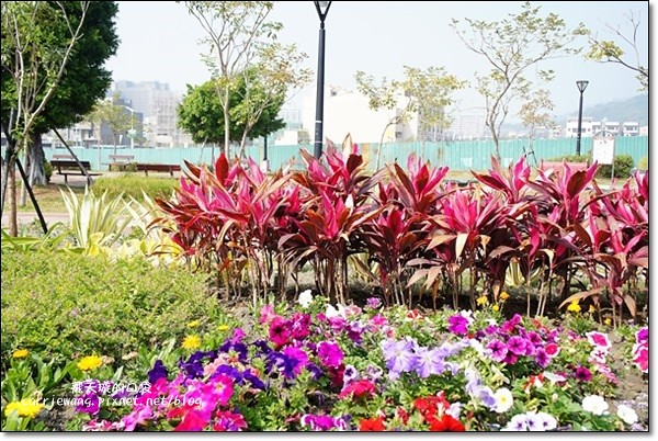 【台中蛋糕甜點】蝴蝶橋甜點美食莊園。法式甜點吸睛又華麗，腹地廣大環境悠閒，北屯區美食又一發 @飛天璇的口袋