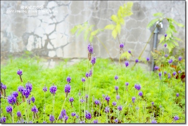 【台中下午茶】KOPHY。轉角遇見咖啡哲理，品嚐悠閒的生活溫度，甜點是午后最美的小確幸 @飛天璇的口袋