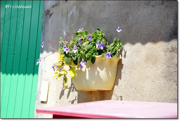 台北四四南村｜現代與復古衝突的美感，在眷村裡尋找歷史的足跡，好丘 good cho’s貝果 @飛天璇的口袋