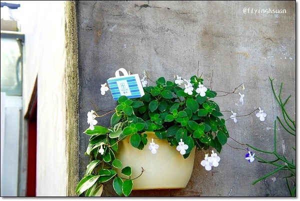 台北四四南村｜現代與復古衝突的美感，在眷村裡尋找歷史的足跡，好丘 good cho’s貝果 @飛天璇的口袋