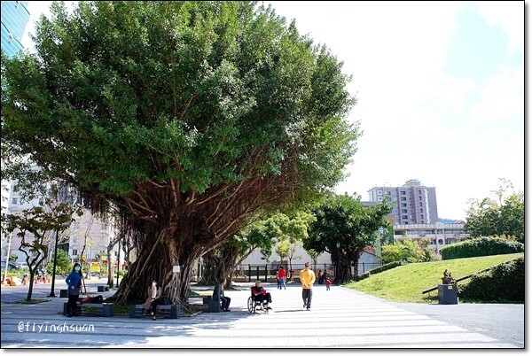 台北四四南村｜現代與復古衝突的美感，在眷村裡尋找歷史的足跡，好丘 good cho’s貝果 @飛天璇的口袋