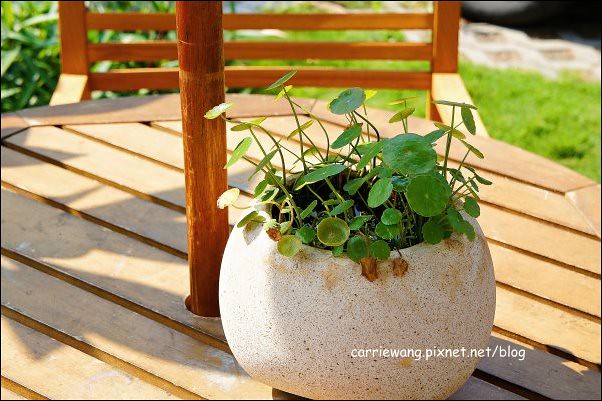 【台中下午茶】Dan Man Cafe．丹曼咖啡。隱身在巷弄間的老宅咖啡館，用碗喝咖啡，你試過嗎？ @飛天璇的口袋