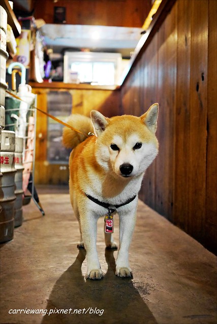 大眾立吞酒場@市民大道｜台北人的深夜食堂，平價串燒，氣氛滿滿 @飛天璇的口袋
