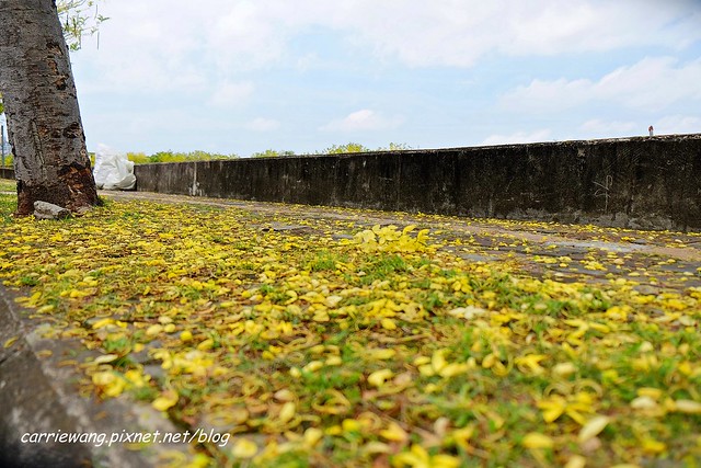 【台中北屯】 北屯旅遊景點懶人包~搭乘台中捷運遊北屯，10個旅遊景點懶人包 @飛天璇的口袋