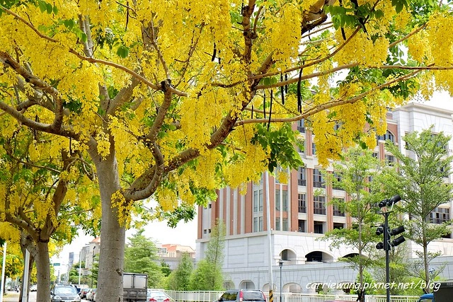 【台中北屯】 北屯旅遊景點懶人包~搭乘台中捷運遊北屯，10個旅遊景點懶人包 @飛天璇的口袋