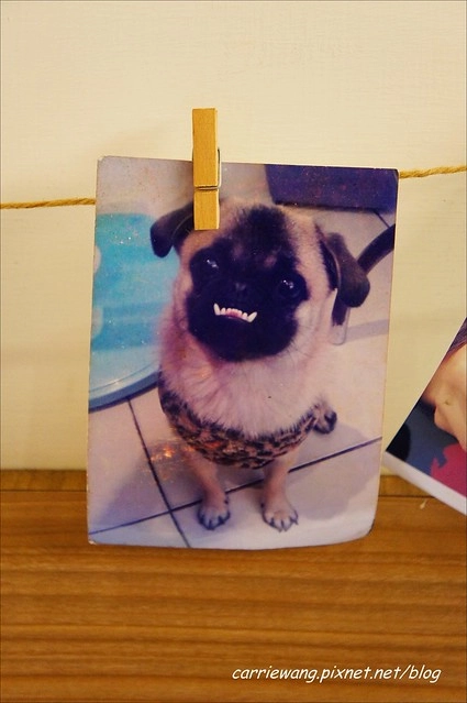 【金門必買伴手禮】金悅坊風伯燒。可愛的風獅爺造型雞蛋糕，內餡濃郁又好吃，還有特製的格格Q餅，是蟲蟲造型的唷！ @飛天璇的口袋