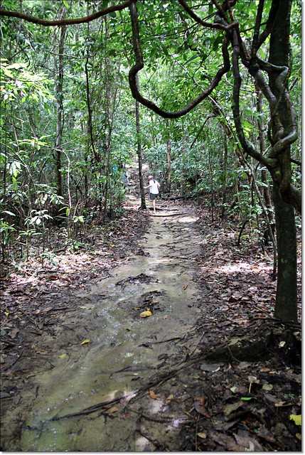 【馬來西亞沙巴】沙巴5天4夜行程規劃總表~搭乘亞航Air Asia飛到美麗海島沙巴~夕陽海景、美食小吃、逛街購物還有按摩SPA @飛天璇的口袋