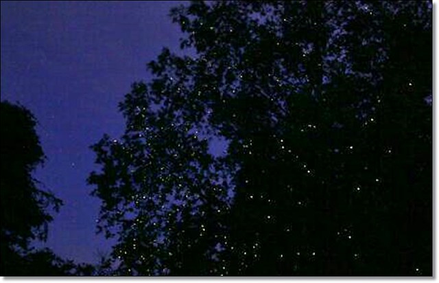 【馬來西亞沙巴】沙巴5天4夜行程規劃總表~搭乘亞航Air Asia飛到美麗海島沙巴~夕陽海景、美食小吃、逛街購物還有按摩SPA @飛天璇的口袋