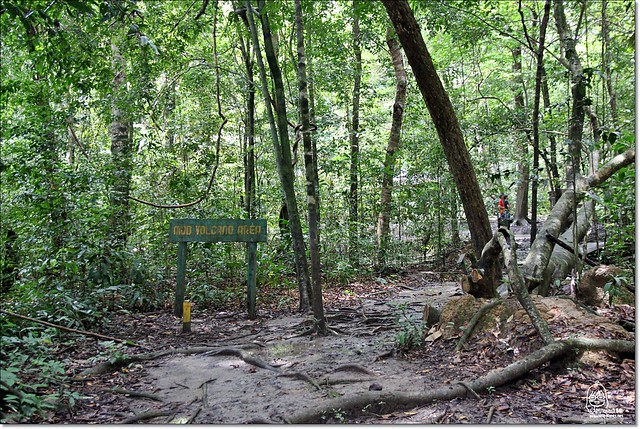 【馬來西亞沙巴】沙巴五日遊推薦行程~Pulau Tiga迪加島火山泥浴+自助式海鮮午餐+蛇島+白沙島浮潛(Air Asia亞洲航空體驗) @飛天璇的口袋