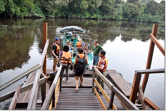 【馬來西亞沙巴】沙巴五日遊推薦行程~Klias River克里亞斯河+紅樹林濕地+浪漫下午茶+沙巴長鼻猴+螢火蟲聖誕樹+自助晚餐百匯+榴蓮冰 @飛天璇的口袋
