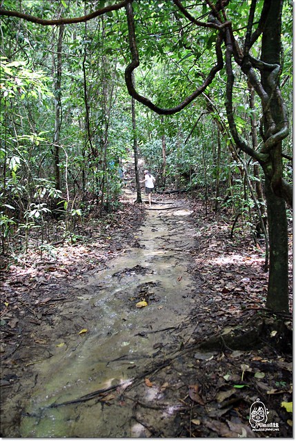 【馬來西亞沙巴】沙巴五日遊推薦行程~Pulau Tiga迪加島火山泥浴+自助式海鮮午餐+蛇島+白沙島浮潛(Air Asia亞洲航空體驗) @飛天璇的口袋
