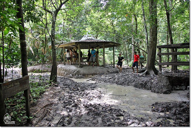 【馬來西亞沙巴】沙巴五日遊推薦行程~Pulau Tiga迪加島火山泥浴+自助式海鮮午餐+蛇島+白沙島浮潛(Air Asia亞洲航空體驗) @飛天璇的口袋