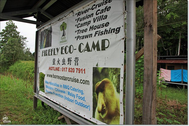 【馬來西亞沙巴】沙巴五日遊推薦行程~Klias River克里亞斯河+紅樹林濕地+浪漫下午茶+沙巴長鼻猴+螢火蟲聖誕樹+自助晚餐百匯+榴蓮冰 @飛天璇的口袋