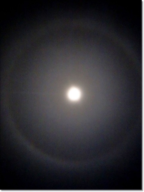 【馬來西亞沙巴】沙巴五日遊推薦行程~Klias River克里亞斯河+紅樹林濕地+浪漫下午茶+沙巴長鼻猴+螢火蟲聖誕樹+自助晚餐百匯+榴蓮冰 @飛天璇的口袋