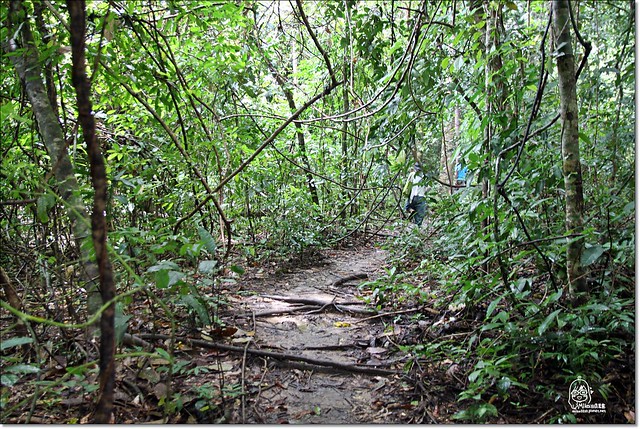 【馬來西亞沙巴】沙巴五日遊推薦行程~Pulau Tiga迪加島火山泥浴+自助式海鮮午餐+蛇島+白沙島浮潛(Air Asia亞洲航空體驗) @飛天璇的口袋