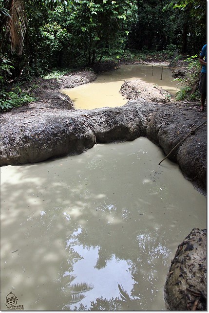 【馬來西亞沙巴】沙巴五日遊推薦行程~Pulau Tiga迪加島火山泥浴+自助式海鮮午餐+蛇島+白沙島浮潛(Air Asia亞洲航空體驗) @飛天璇的口袋
