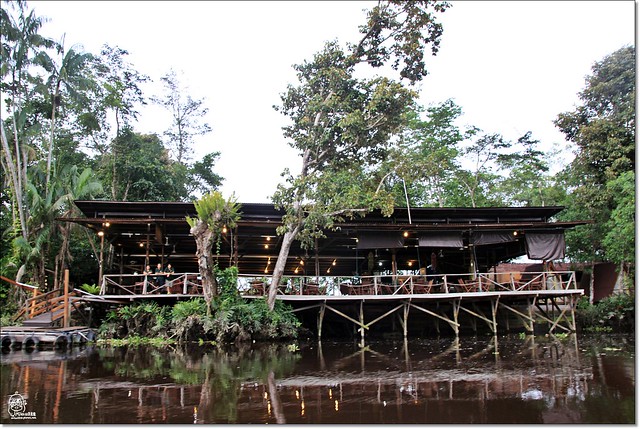 【馬來西亞沙巴】沙巴五日遊推薦行程~Klias River克里亞斯河+紅樹林濕地+浪漫下午茶+沙巴長鼻猴+螢火蟲聖誕樹+自助晚餐百匯+榴蓮冰 @飛天璇的口袋