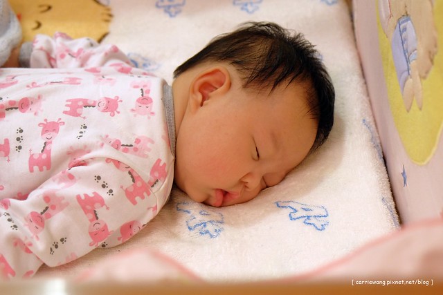 【居家好物分享】樂智LUX Aura高效率空氣清淨機。在家也可以擁有森林浴般的清淨享受，業務到府服務，試用滿意後再買，還可以享有5年保固 @飛天璇的口袋