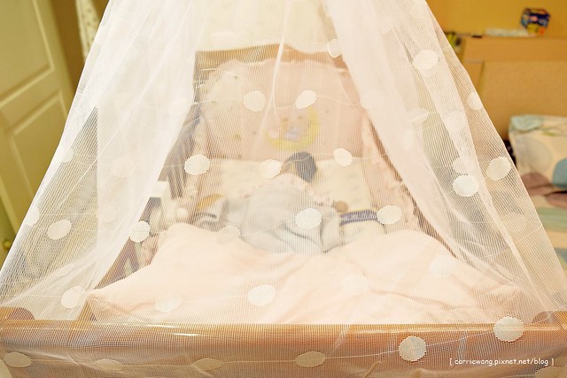 【居家好物分享】樂智LUX Aura高效率空氣清淨機。在家也可以擁有森林浴般的清淨享受，業務到府服務，試用滿意後再買，還可以享有5年保固 @飛天璇的口袋