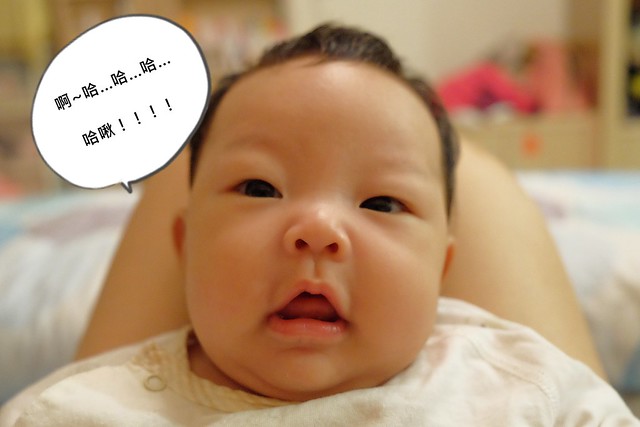 【居家好物分享】樂智LUX Aura高效率空氣清淨機。在家也可以擁有森林浴般的清淨享受，業務到府服務，試用滿意後再買，還可以享有5年保固 @飛天璇的口袋