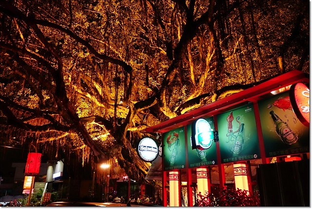 【花蓮民宿】花蓮1999民宿~充滿時尚感的1999特色民宿，位於花蓮市中心，有多種房型可以選擇，早餐豐盛又可愛 @飛天璇的口袋